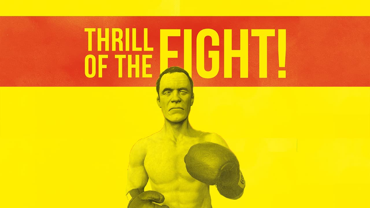 The Thrill of the Fight virtual reality artwork
