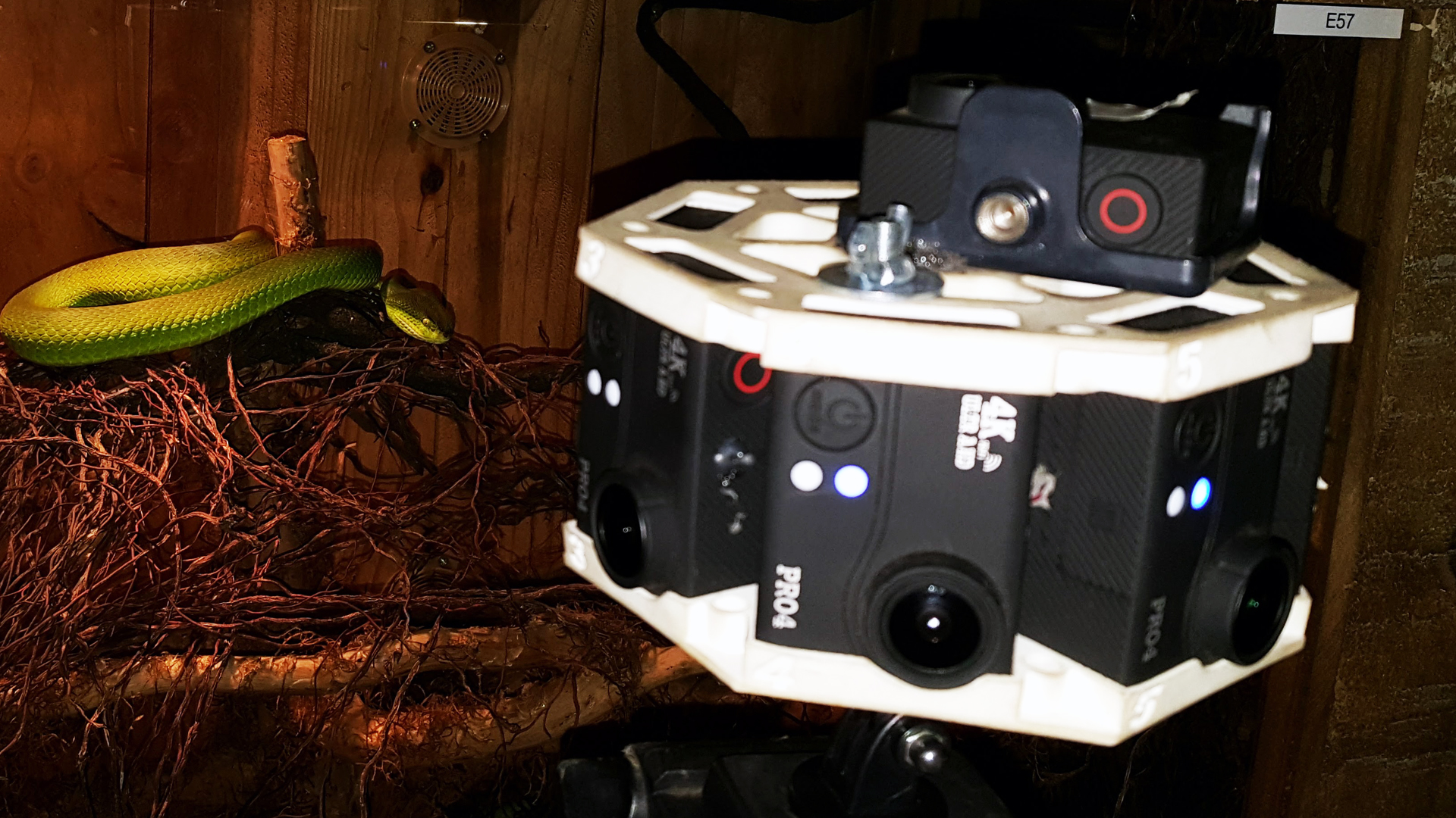 360-video-camera-snake-shoot
