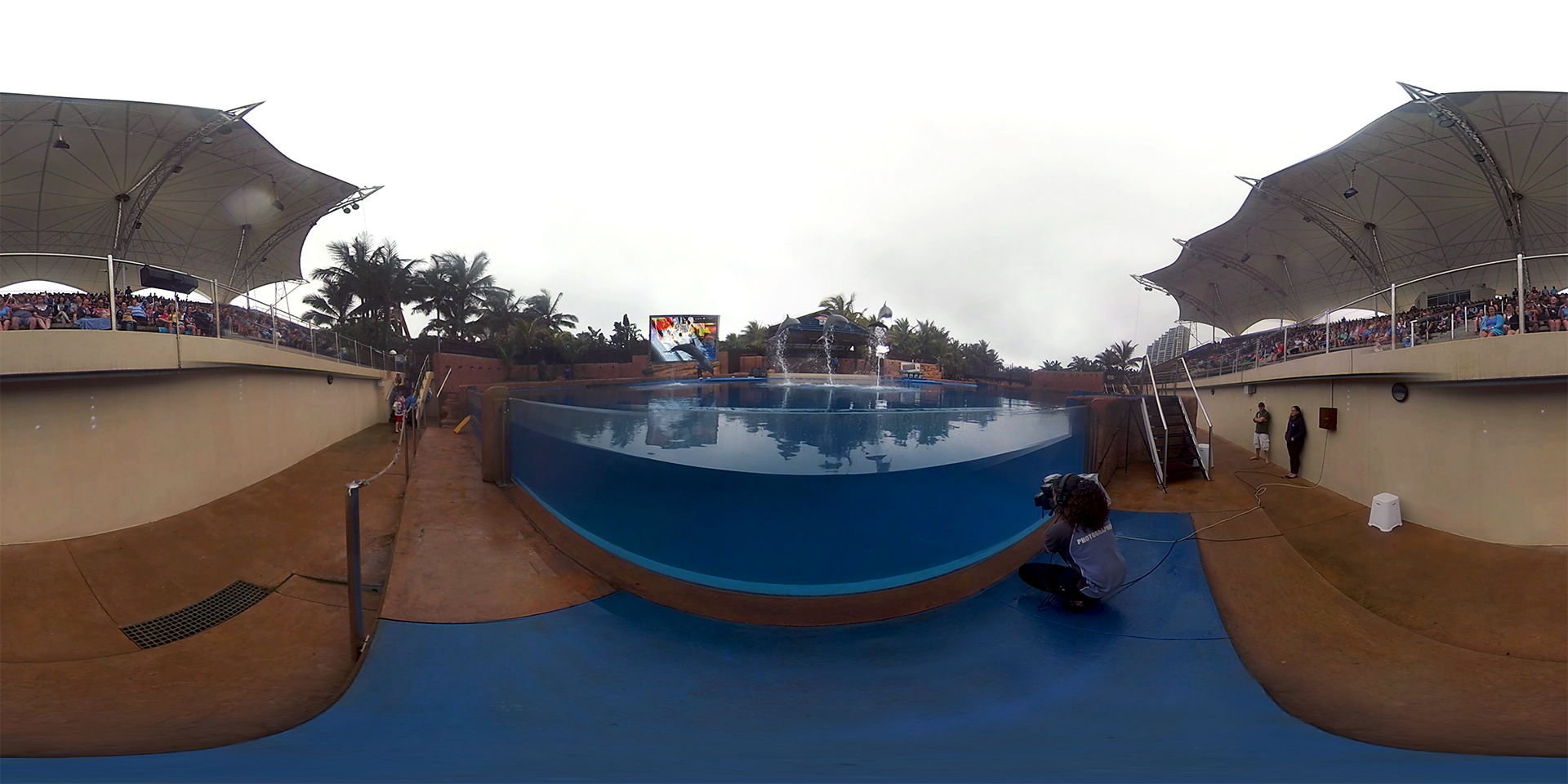 ushaka-360-video-dolphin-show-1920
